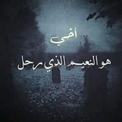 عصام عادل