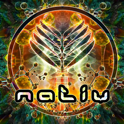 NATIV’s avatar
