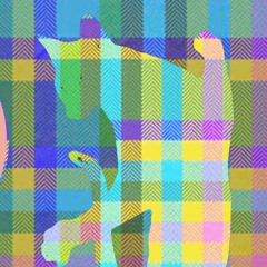 WIDECAT COMMUNICATIONS