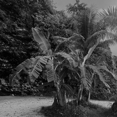 tropicsarchive