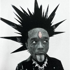shininhenny