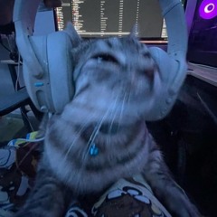 W W W . V I T I N