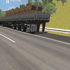 vitor607