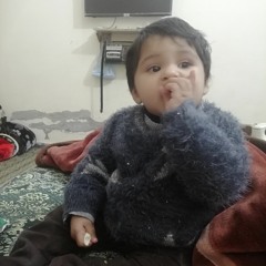 Saleem Afzal