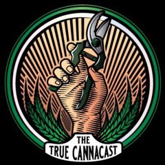 The True Canna Cast : Cannabis Culture