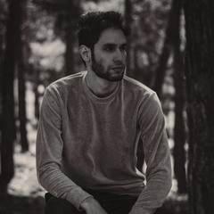 Alireza Mohammadi