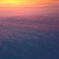 sea taa