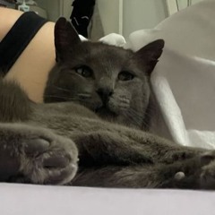 pumba lata