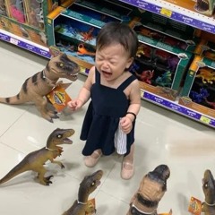 Hoàng Nhất Bảo