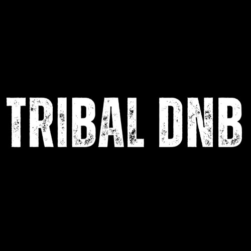 Tribal DnB’s avatar