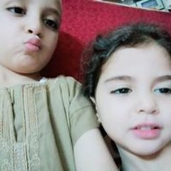 مستشار إسماعيل المرشدي شهود