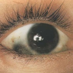 predatory microtransactions