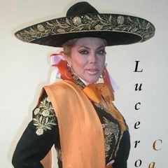 Lucero Campos Artista