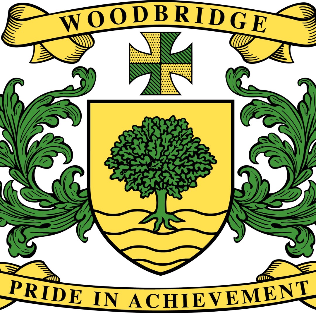 Stream Team Woodbridge Talks: Episode 6 'Revision and Exams' by Team