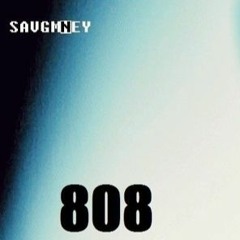 Savtovun1