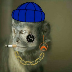 mosabspook