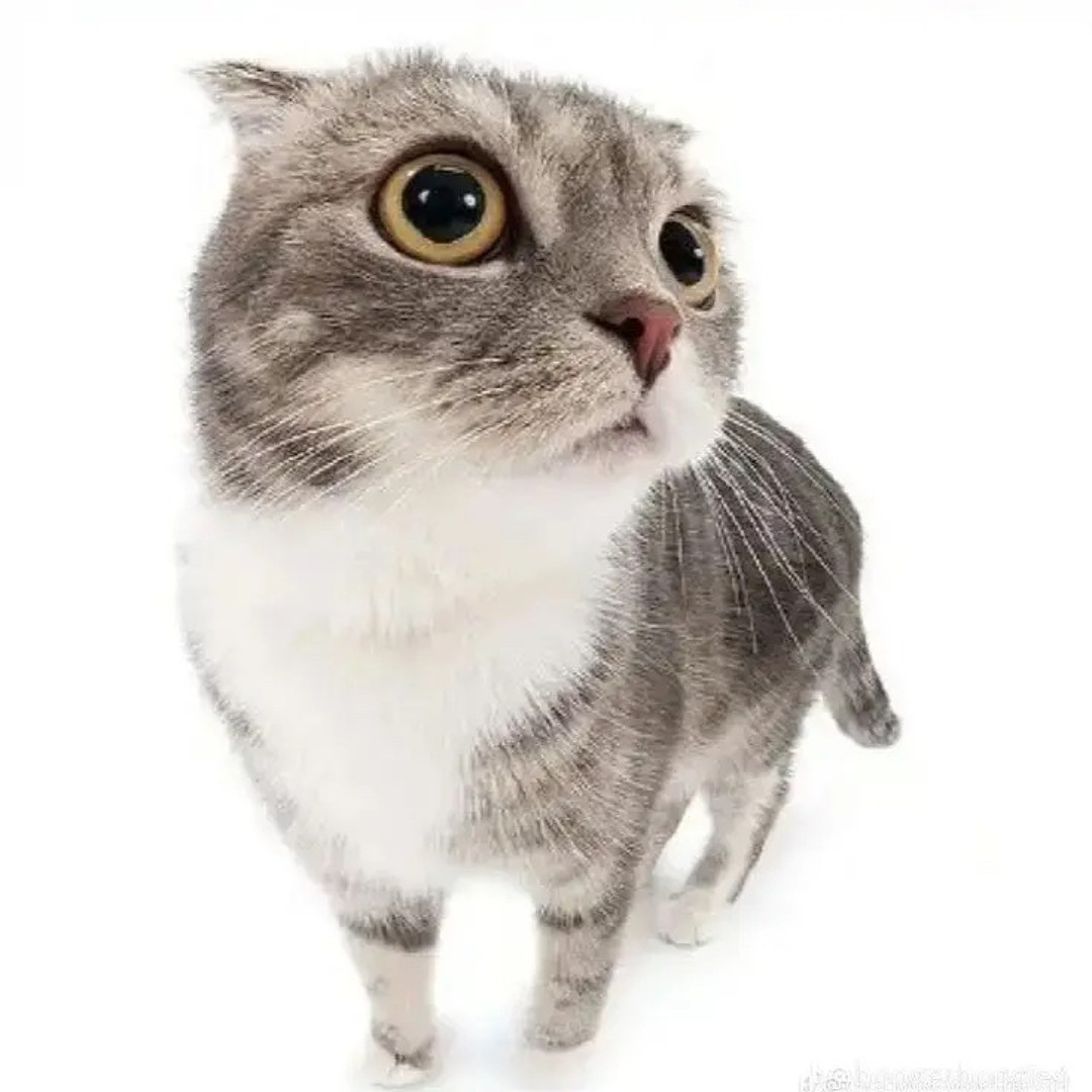 OMAR’s avatar