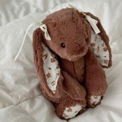 🩷bunny🤎