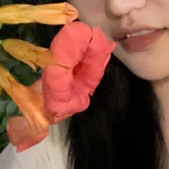 xiaoD