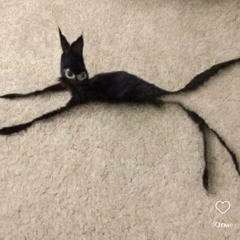 dxstt