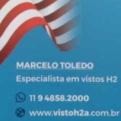 Marcelo Toledo 2