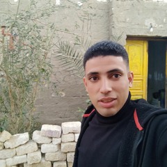 Mohamed Mosa