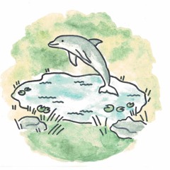 Pond Dolphins