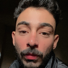 Ahmed Shawki Abd-el Aziz