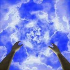 CONSTITUTION OF MAJOR iNC The Walt Disney Company?