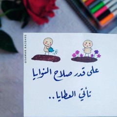 آلاء السيد