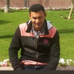Ezzat Salam