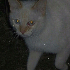 ixyoulike