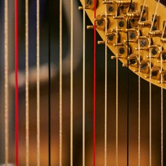 Neil's TV and film work