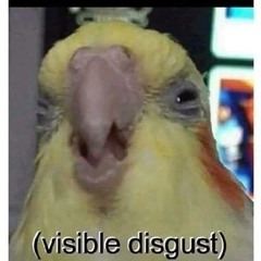 Midnight Rain Within The Cascade Range