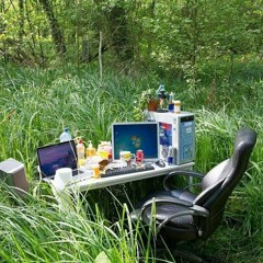 My mind is hypnotizing you