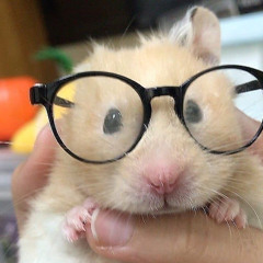ิิ