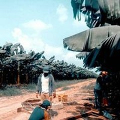Wahyu Reza Mahendra