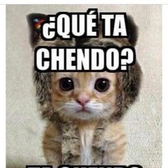 piporrito
