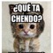 piporrito