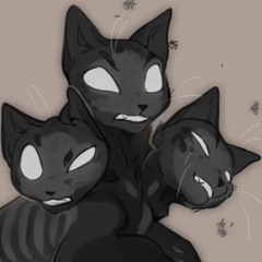 Shadow Ravens