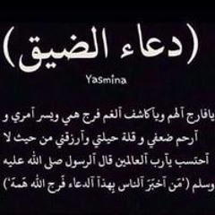 محمد ابو خليل