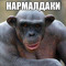 ванючи