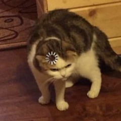 Magda, no po prostu Magda