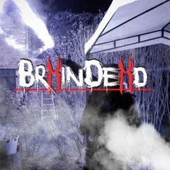 BrXinDeXd