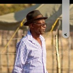 Coolcat James Kameitjo