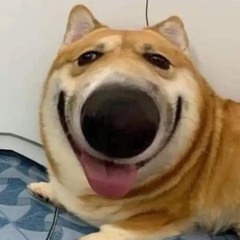 Tùngbờlút