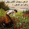رسلان صفوت