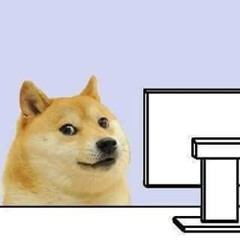 Doge