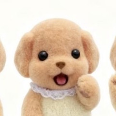 ‎ᐡ⸝ɞ̴̶̷ ·̮ ɞ̴̶̷⸝ᐡ