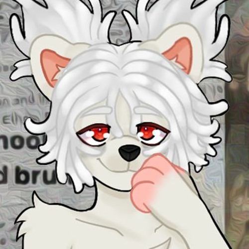Shirokin’s avatar